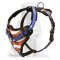 Leather Dog Harness with Trendy Painting for Mastiff