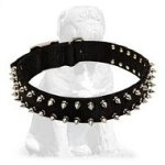 Spiked Nylon Mastiff Collar