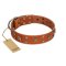 "Faraway Galaxy" FDT Artisan Tan Leather Mastiff Collar Adorned with Stars and Squares