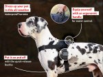 Extra Lightweight Nylon German Mastiff Harness for Tracking/Pulling