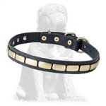 Designer Leather Mastiff Collar with Plates