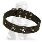 Mastiff Elegant Leather Dog Collar with Flowers