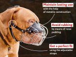 French Mastiff Wire Basket leather Muzzle
