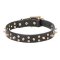 Mastiff Leather Dog Collar with Brass Stars and Spikes
