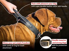 Adjustable Leather French Mastiff Collar with Handle | Brass Hardware