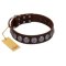 "Charming Circles" FDT Artisan Brown Leather Mastiff Collar with Silver-like Studs