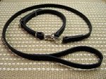 Police / hunting dog leash and collar (combo)
