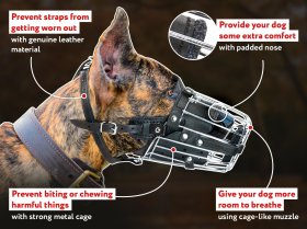 'No Mash' Mastiff Metal Dog Muzzle with Soft Leather Padding