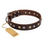 'Rare Flower' FDT Artisan Brown Leather Mastiff Collar