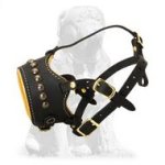 Mastiff Everyday Anti Barking Soft Muzzle decorated with studs