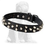 Fashionable handmade pyramid studded collar for Mastiff