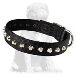 Mastiff Nylon Dog Collar with 1 Row Studs
