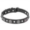 Mastiff Leather Dog Collar with Silver-Like Conchos and Half-Ball Studs