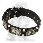Chic Mastiff Collar with Plates and Pyramids