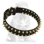Mastiff Spiked Leather Dog Collar for Walking