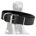 Premium quality padded leather collar