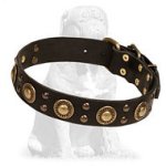 Mastiff Leather Dog Collar with Brass Decorations