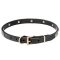 Mastiff Sunny Leather Dog Collar with Engraved Brass Studs