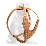 Mastiff Fashion Spiked Leather Dog Harness
