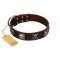 "Nut-Brown Finery" Embellished FDT Artisan Brown Leather Mastiff Collar with Chrome Plated Crossbones and Plates