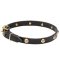 Mastiff Leather Dog Collar with Brass Round Studs with Engraving