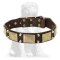 Mastiff collar with brass plates +2 nickel pyramids