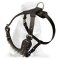 Silver Shining Daily Leather Harness for Mastiff