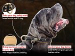 Royal Nappa Padded Handmade Leather Dog Collar