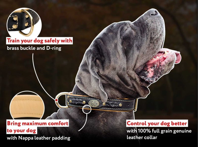 Royal Nappa Padded Handmade Leather Dog Collar