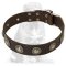 Mastiff Leather Dog Collar with Silver Conchos
