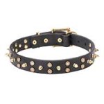Mastiff Leather Dog Collar with Brass Stars and Spikes