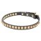 Mastiff Narrow Leather Dog Collar with Brass Studs