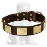 Handcrafted Leather Dog Collar With Vintage Massive Plates