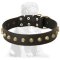 Mastiff Gorgeous Wide Leather Dog Collar With Brass Pyramids