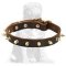 Multipurpose Spiked leather collar