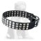Mastiff Leather Collar 3 Rows of Pyramids