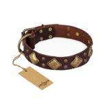 'Golden Square' FDT Artisan Brown Leather Mastiff Collar with Large Squares - 1 1/2 inch (40 mm) wide