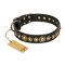 'Gold Mine' FDT Artisan Black Leather Mastiff Collar with Sparkling Bronze-Plated Round Studs