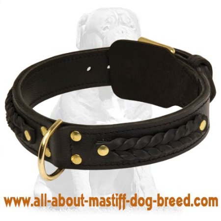 Handcrafted Leather Dog Collar