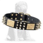 Perfect Spiked Leather Dog Collar with Brass Massive Plates&Spikes