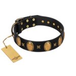 "Doggie Woggie" Designer Handmade FDT Artisan Black Leather Mastiff Collar with Ovals and Studs