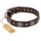 'Extra Pizzazz' FDT Artisan Adorned Brown Leather Mastiff Collar