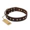 'Bronze Sheen' FDT Artisan Mastiff Brown Leather Dog Collar with Old Bronze-Like Plated Studs - 1 1/2 inch (40 mm) wide
