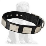 Vintage Mastiff collar with plates
