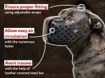 Leather Mastiff Muzzle for Attack Training