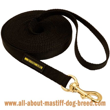 2 Ply Nylon Leash for Tracking, Training and Walking with Your Mastiff