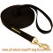 2 Ply Nylon Leash for Tracking, Training and Walking with Your Mastiff