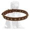 Fashionable studded leather collar for Mastiff