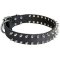 Spiked Leather German Mastiff Collar | Rustproof Fittings