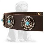 Tan Leather Dog Collar with Silver Plated Circles Blue Stones